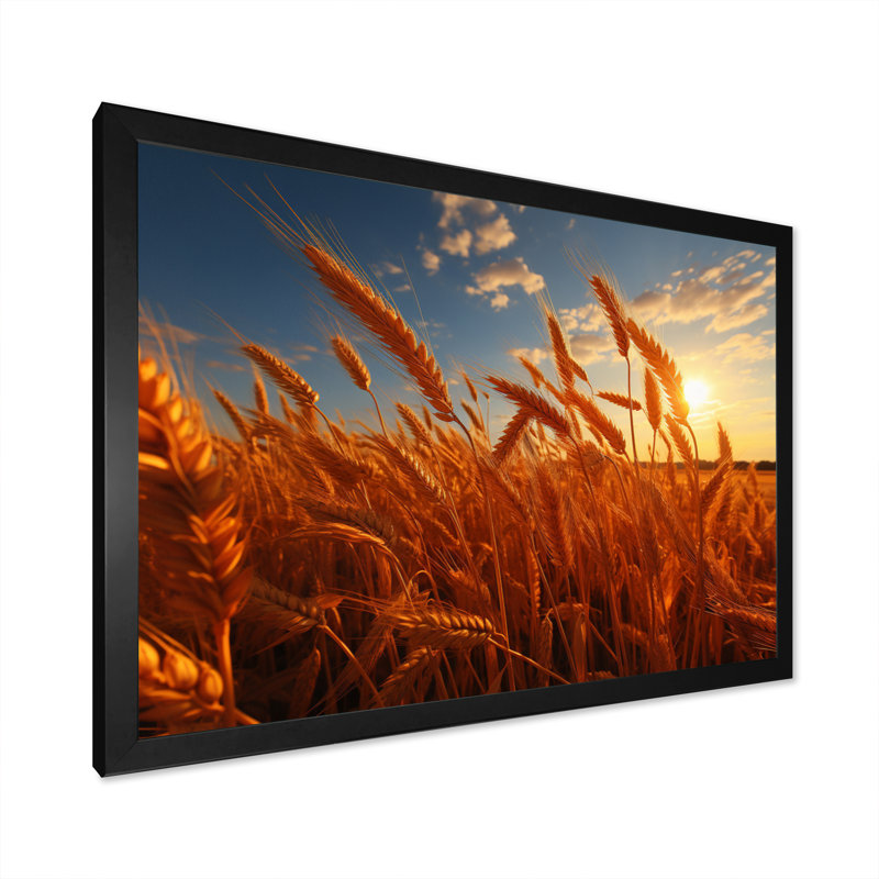 Canada Golden Harvest II - impression, Cadre simple noir, H 12 po x l 20 po x P 1 po