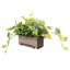 24.89cm Faux Pothos Plant in Solid Wood Planter
