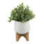 Plante de feuillage artificiel 6" en pot