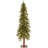 Hickory Cedar Tree-1964803448-1923807231