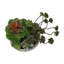 Plante artificielle