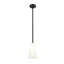 Luminaire suspendu moderne 1 lumière Tomy-1136191601-1136191602