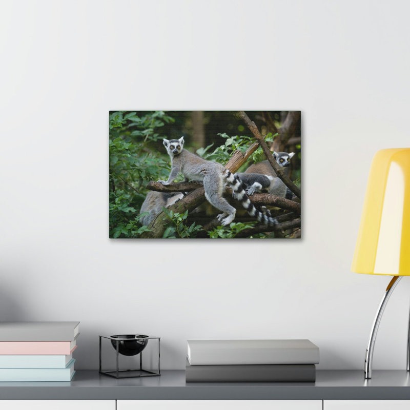 No Frame Print on Canvas, 11cm H x 14cm W