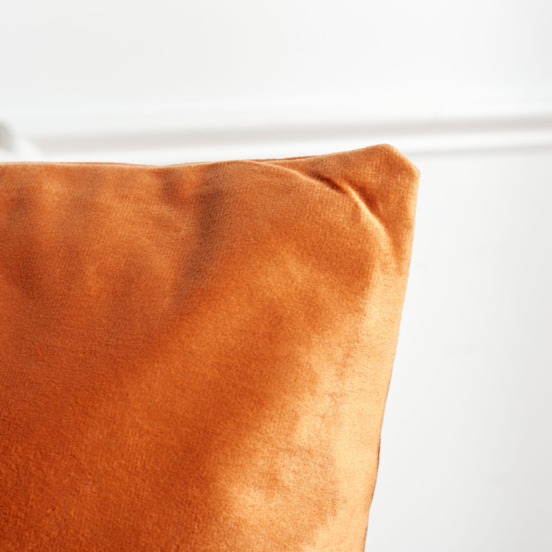 Anaster Tassels Reversible Throw Pillow