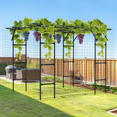 Grand treillis d'arche de jardin pour plantes grimpantes, grand treillis d'arbre de soutien de vigne