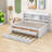 Tammeria Full / Double Daybed with Trundle-647689701