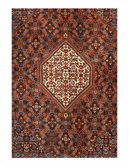Fine hand knotted Persain Bidjar 3'8'' X 5'8''