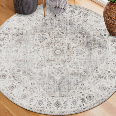 Lefkothea Joy Vintage Machine Washable Area Rug