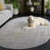 Bethlyn Creme/Gold Area Rug