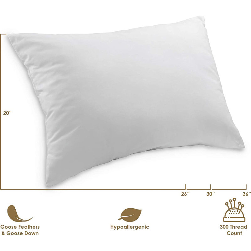 Whitworth Medium Pillow