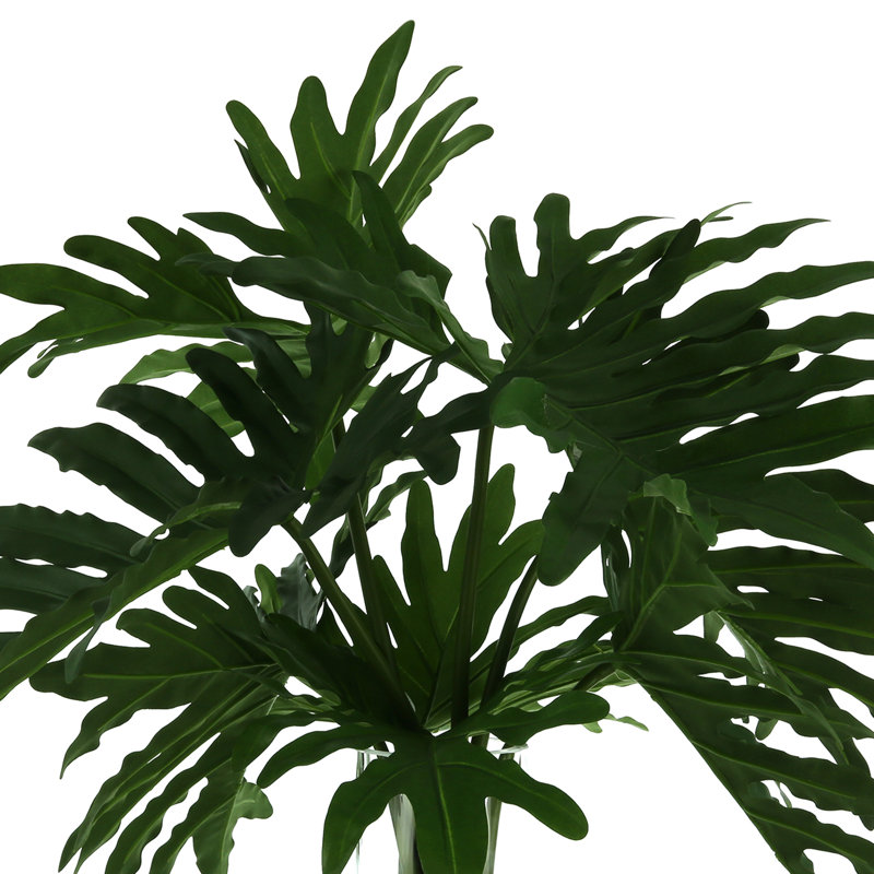 Janousek Janousek biologique moderne faux Philodendron, H 28 po x l 29 po x P 29 po