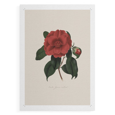 Imprimé floral rétro CXC III - reproduction de toile seulement - non encadrée