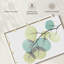 Eucalyptus Harnek Turq-107876141
