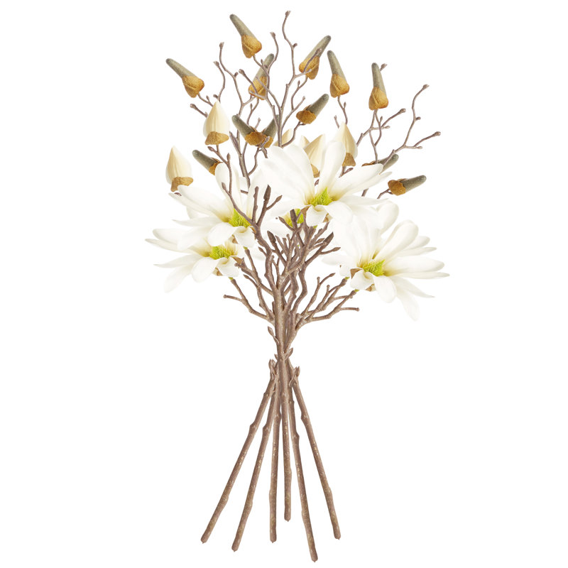 Magnolia Etoile, 18"