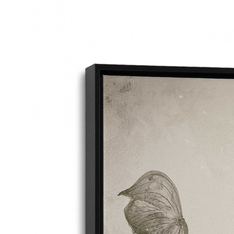 «Wildflower Journal Vintage III» par Nathan Larson, reproduction d'art sur toile, Noir, Cadre flottant, H 18 po x l 12 po