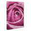 The Heart Of A Pink Rose - Wrapped Canvas-56664836