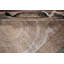 Tapis oriental traditionnel de style victorien 8 x 11