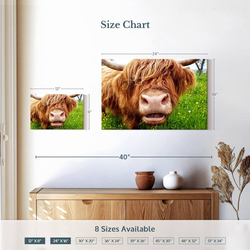 Vache Brampt, H 16 po x l 24 po