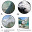 «Marine Whispers», lions de mer en jeu III -  / otarie-706599652-706599667