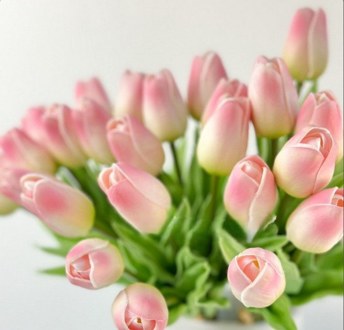 Arrangement floral moderne 60 tulipes, Rose/Blanc