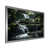 Silver Single Picture Framed