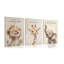 3 Piece Wrapped Canvas Print