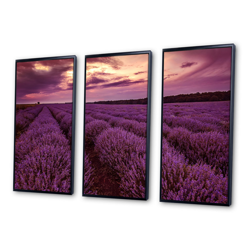 Sunrise and Dramatic Clouds over Lavender Field III - 3 pièces, reproduction sur cadre flottant sur toile, Cadre noir