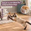 Cet ensemble de 2 jouets en peluche résistants aux morsures pour chatons d'intérieur combine des plumes naturelles et de l'herbe à chat, des queues douces et duveteuses et des anneaux de suspension pour accrocher la baguette ; 8 évaluations mondiales.