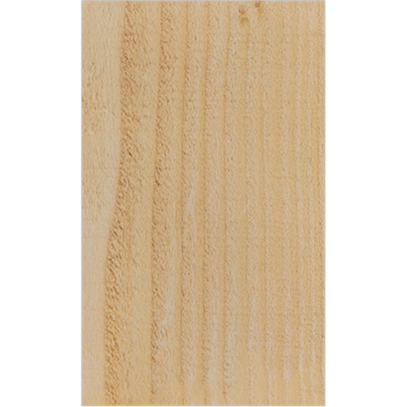 Pescadero Rough Sawn Rafter Tail, Douglas Fir, 10" H x 48" W x 6" D