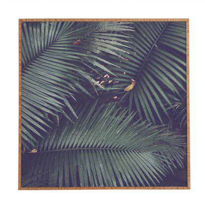«Rainforest Floor» par Catherine McDonald - reproduction de photo sur bois encadrée