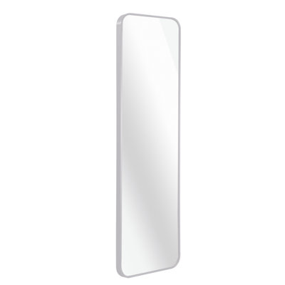 47 X 14IN Door Mirror.(W2203P182160)