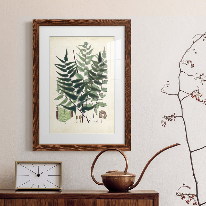Collectionner Ferns VII Premium encadré mat - prêt à être accroché, Érable, H 38 po x l 28 po x P 1 po