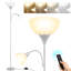 180cm Brushed Torchiere Floor Lamp