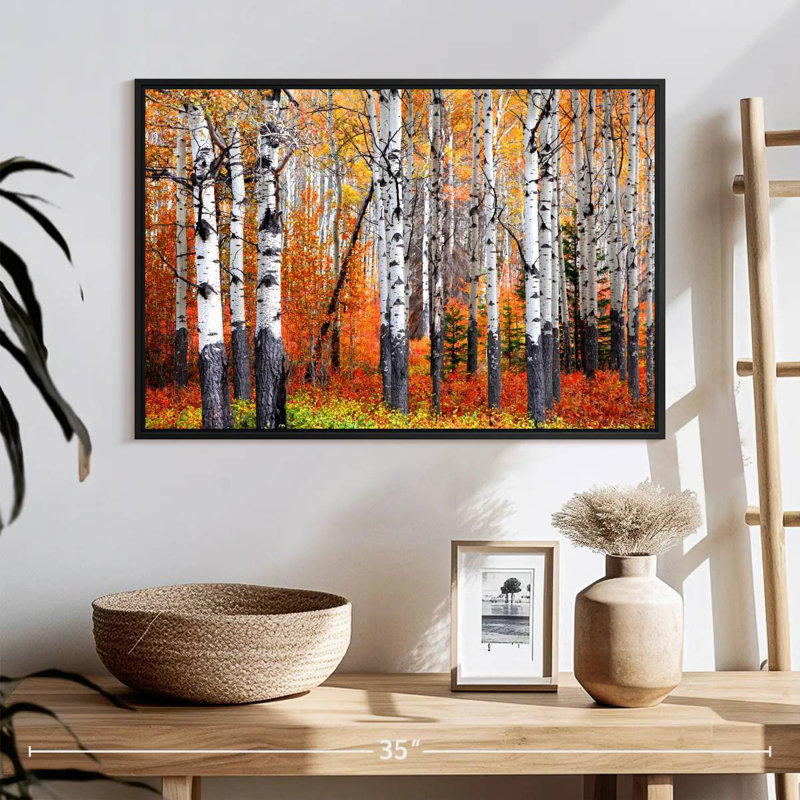 Forêt de trembles de Banff, 25 po x 17 po, Cadre flottant noir