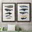 Baleine graphique I - ensemble de 2 cadres photo-966349126-966349135-1023591107