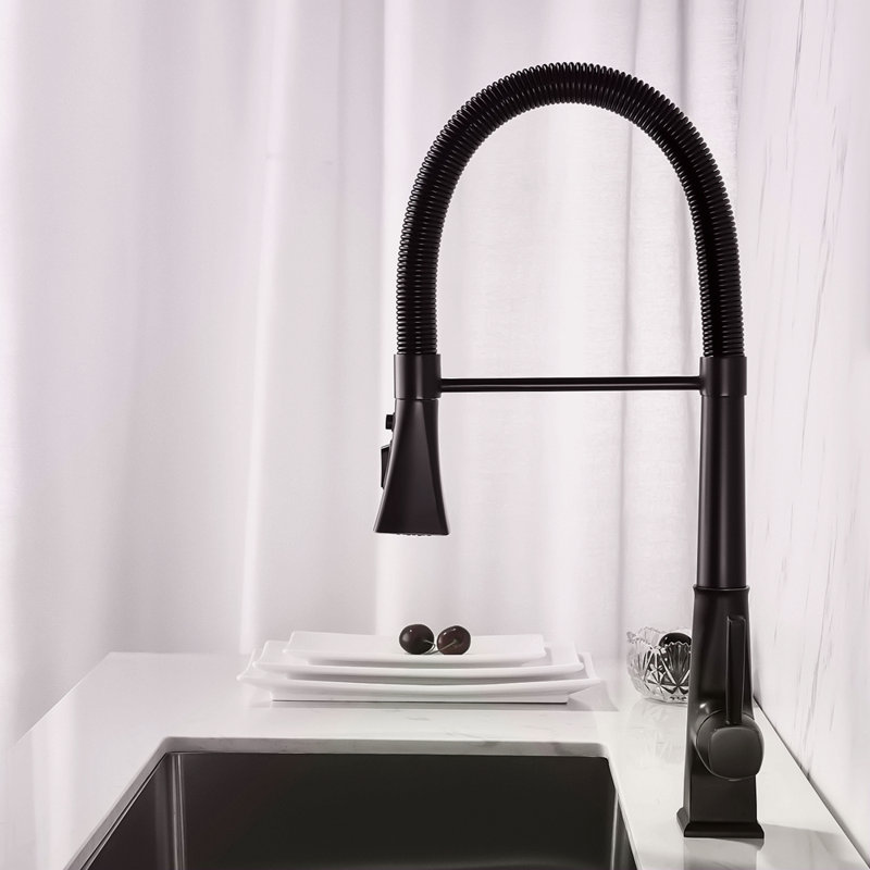 Kitchen Faucet With Pull Down Sprayer