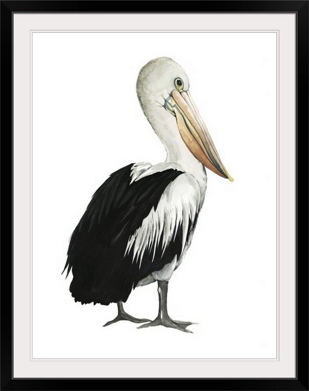Sea Bird " Sea Bird IV " by Grace Popp, 44" H x 35" W x 1" D, Black Frame
