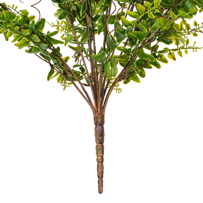 Fern Arrangement