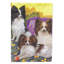 Drapeau de maison Hvidovre Sheltie Halloween en polyester à 2 faces 3 x 2 pi-81031352