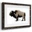 Bison monochrome II - impression d'un cadre photo unique-138899497-138899499
