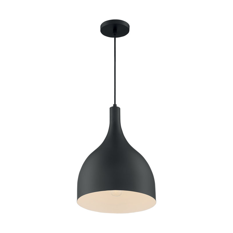 Luminaire suspendu en forme de goutte à 1 lumière Bellingham, Noir mat, H 16,38 po x l 12 po x P 12 po