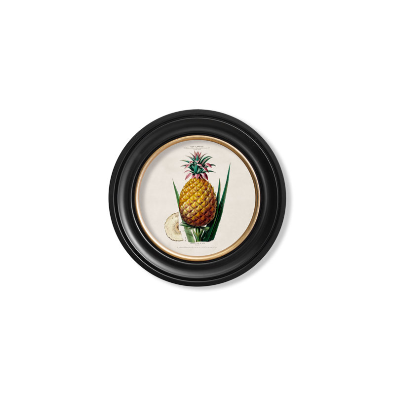 Pineapple by Mid-1800s - Single Picture Frame Print on Archival Matt 230gsm Paper