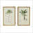 S/2 Tree Framed Print