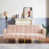 Velours rose est en rupture de stock