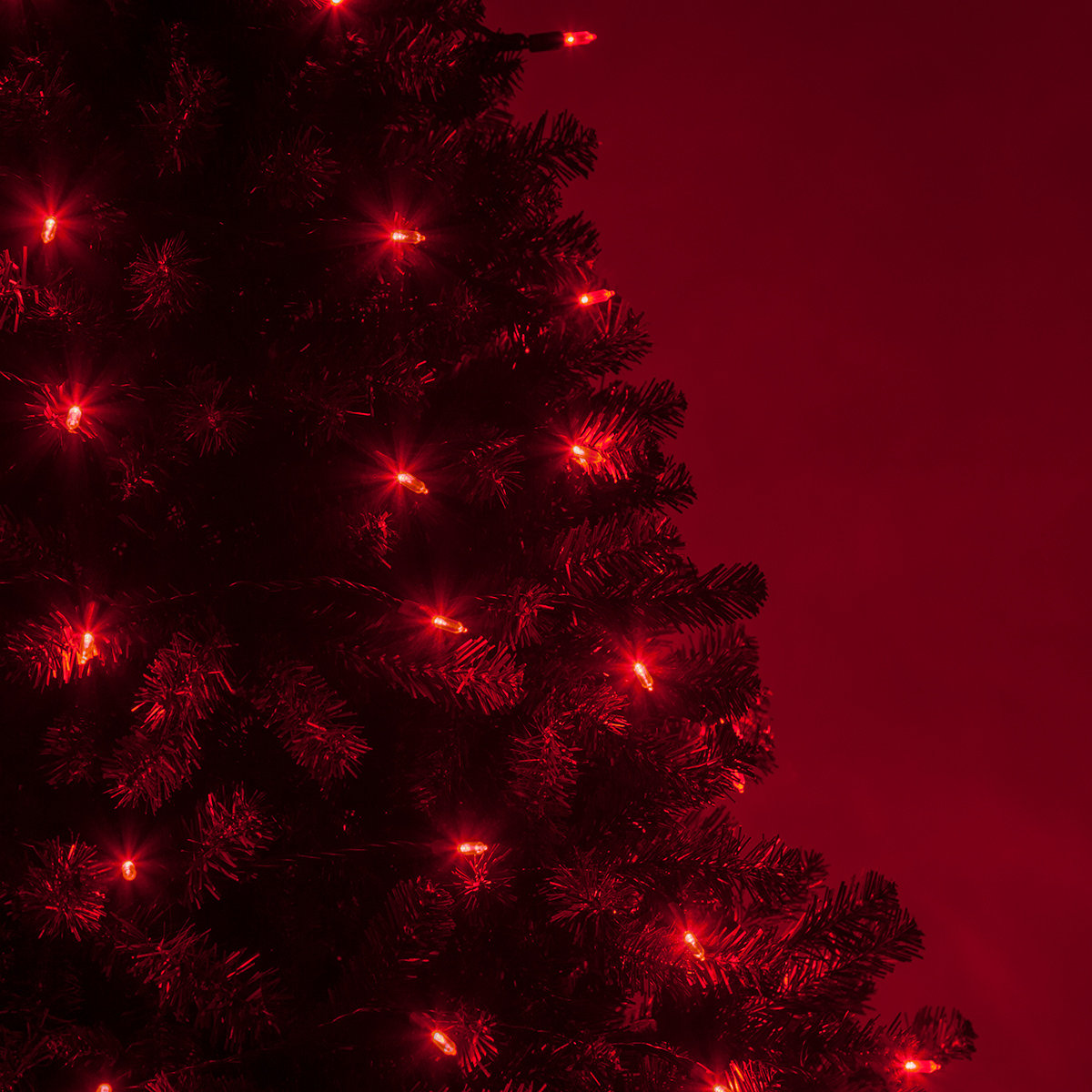 25.5' Steady LED String Lights, Red