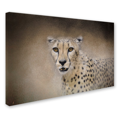 «The Cheetah», impression sur toile tendue Vidur