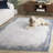 Bobbee Performance Oriental Rug-1672697769