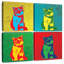 Chatons Brampt Pop Style