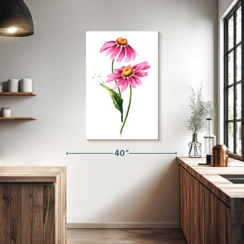 Echinacea Purpurea Flowers, 39" H x 26" W