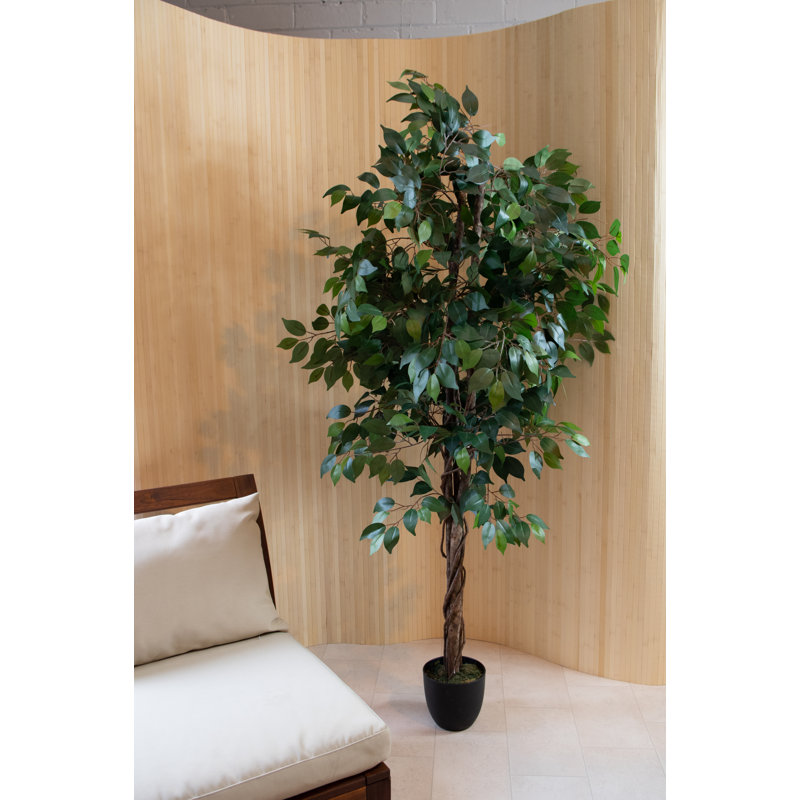 180cm Faux Ficus Tree Tree in Pot